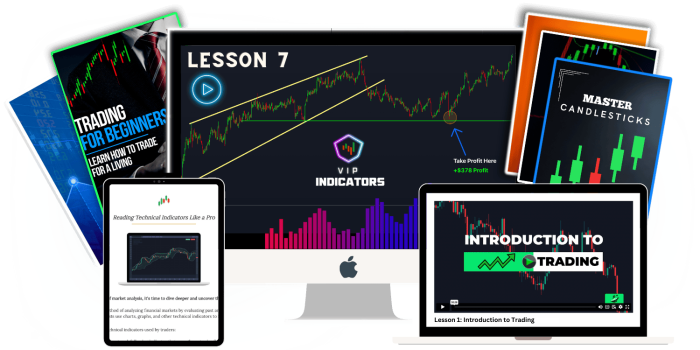 VIP Indicators Review + Download